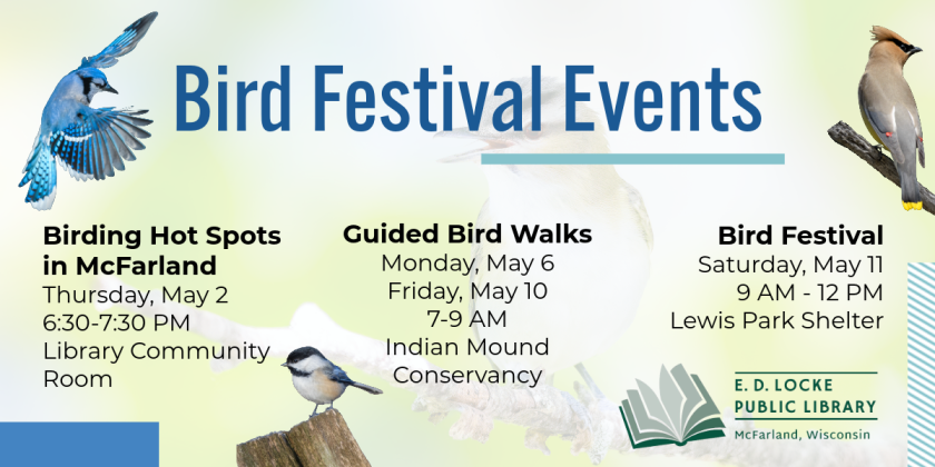 We have multiple events to help us celebrate the McFarland Bird Festival.  There is a program on Birding Hot Spots in McFarland on May 2, Guided Bird Walks on May 6 and 10, and the Bird Festival itself on May 11.  Please click the image for more information on all three events.