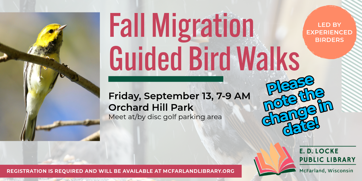 UPDATE: The last Fall Migration Guided Bird Walks will happen Friday, September 13th, 7-9 AM.  Registration is required and can be found at mcfarlandlibrary.org or by calling the library at 608-838-9030.