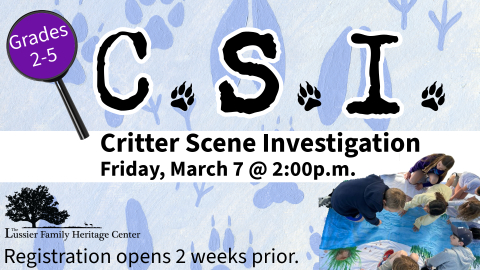 Critter Science Investigation 2025